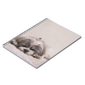 Carnet Chiot endormi (Côté gauche)