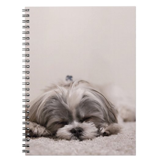 Carnet Chiot endormi (Devant)