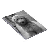 Carnet Chiot Goldendoodle en Jardin (Côté Droit)