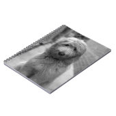 Carnet Chiot Goldendoodle en Jardin (Côté gauche)