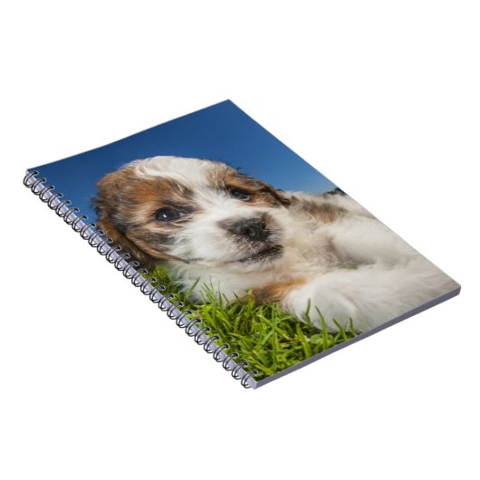 Carnet Chiot mignon (Shitzu) (Côté Droit)