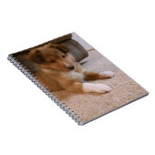 Carnet chiot rayé (Côté Droit)