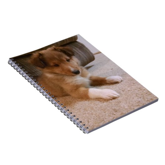 Carnet chiot rayé (Côté Droit)