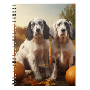 Carnet Chiote Setter Anglais Délice d'Automne Citrouille