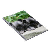 Carnet Chiots aux cheveux longs de chiwawa (Côté Droit)