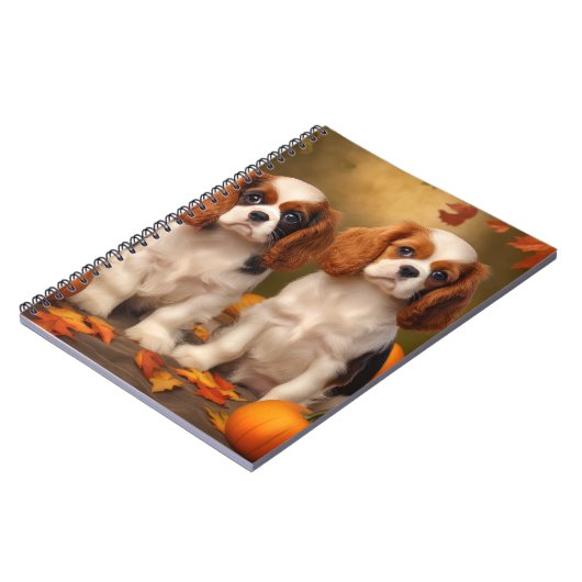 Carnet Chiots Cavalier King Charles Spaniel Citrouille d' (Côté gauche)