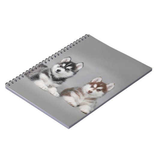 Carnet Chiots husky sibériens (Côté gauche)