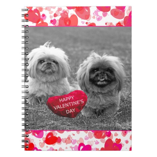 Carnet Chiots Pekingese souhaitant Heureuse Sainte-Valent (Devant)