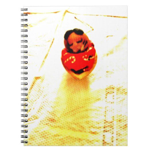 Carnet Chipmunk endormi (Devant)