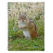 Carnet Chipmunk oriental (Devant)