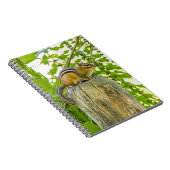 Carnet Chipmunk sur un poteau de clôture (Côté Droit)