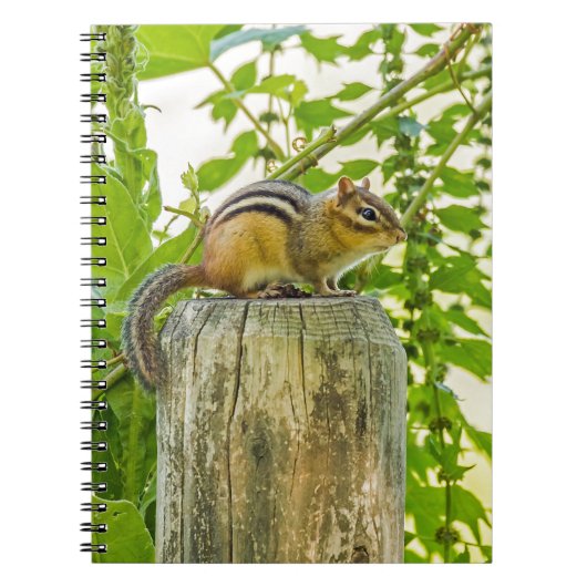 Carnet Chipmunk sur un poteau de clôture (Devant)