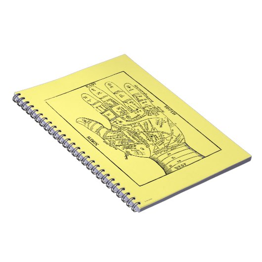 Carnet Chiromancie, 1671 (Côté Droit)