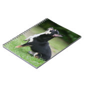 Carnet Chiwawa noir et crème (Côté gauche)