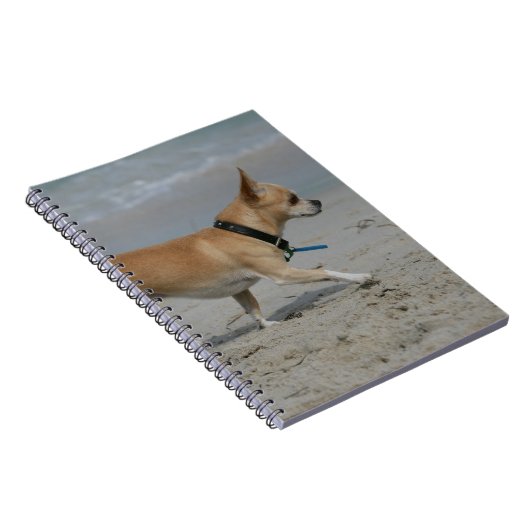 Carnet Chiwawa sur la plage (Côté Droit)