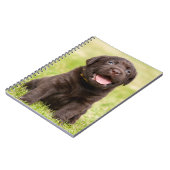 Carnet Chocolat blanc (Côté gauche)