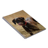 Carnet Chocolat Brown Labrador Retriever (Côté Droit)