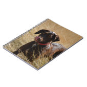 Carnet Chocolat Brown Labrador Retriever (Côté gauche)
