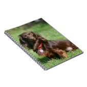 Carnet Chocolat et teckel miniature aux cheveux longs (Côté Droit)