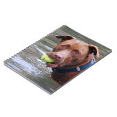 Carnet Chocolat Lab Pit Mélanger Chien Avec Boule (Côté gauche)