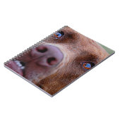 Carnet Chocolat Lab Pit Mélanger le nez de chien (Côté gauche)