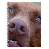 Carnet Chocolat Lab Pit Mélanger le nez de chien (Devant)