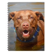Carnet Chocolat Lab Pit Mix Chien Souriant (Devant)