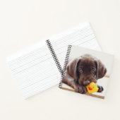 Carnet Chocolat Labrador Chiot Avec Canard De Jouet (Intérieur)