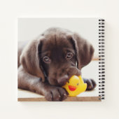 Carnet Chocolat Labrador Chiot Avec Canard De Jouet (Dos)