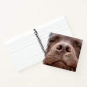 Carnet Chocolat Labrador Closeuse du nez (Intérieur)