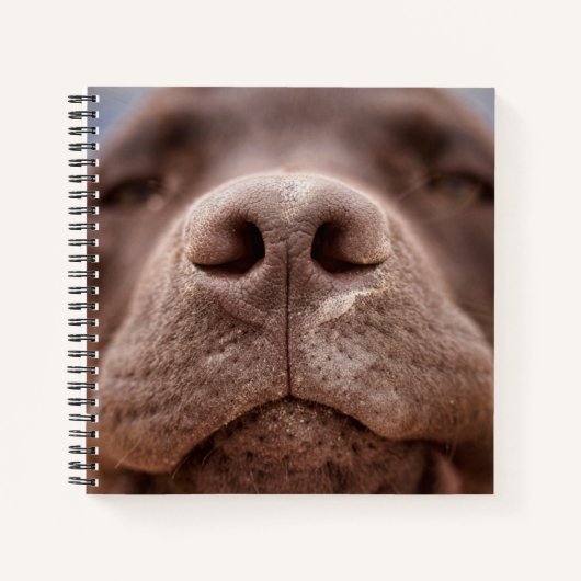 Carnet Chocolat Labrador Closeuse du nez (Devant)
