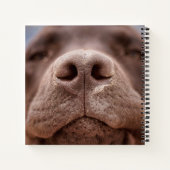 Carnet Chocolat Labrador Closeuse du nez (Dos)