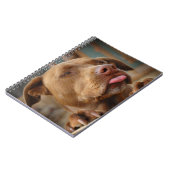 Carnet Chocolat mignon Lab Pit Mix Chien (Côté gauche)