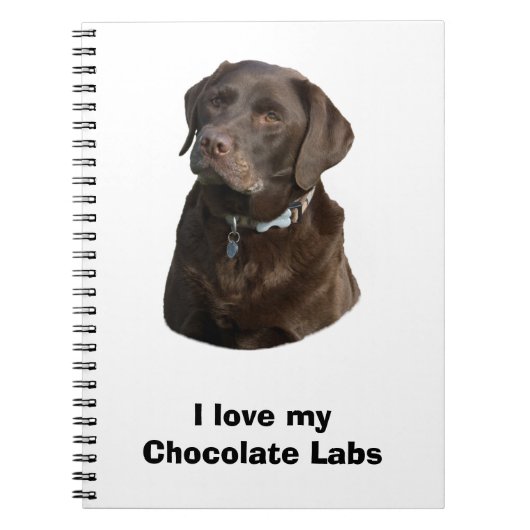 Carnet Chocolate Labrador dog photo (Devant)