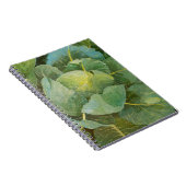 Carnet Chou (Côté Droit)