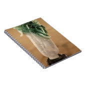 Carnet Chou de chine, Coréen, 19ème siècle (jade) (Côté Droit)