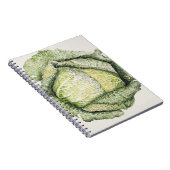 Carnet Chou de Milan (Côté Droit)