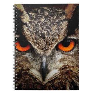 Carnet Chouette
