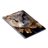 Carnet Chouette (Côté Droit)