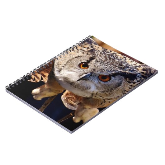 Carnet Chouette (Côté gauche)