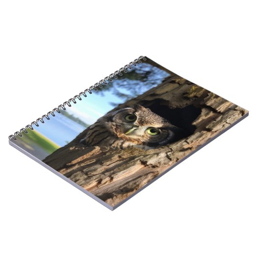 Carnet Chouette (Côté gauche)