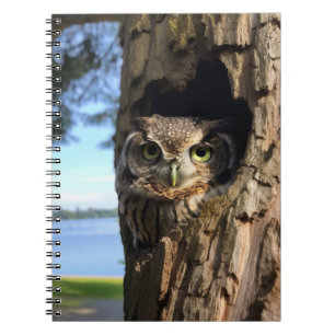 Carnet Chouette