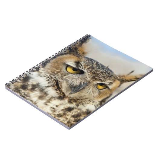 Carnet Chouette à cornes (Bubo virginianus) (Côté gauche)