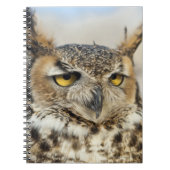 Carnet Chouette à cornes (Bubo virginianus) (Devant)