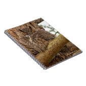 Carnet Chouette à cornes dans le Douglas Fir (Côté Droit)