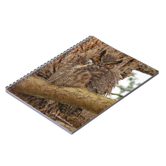 Carnet Chouette à cornes dans le Douglas Fir (Côté gauche)