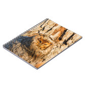 Carnet Chouette à cris de l'Est (Côté gauche)