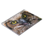 Carnet Chouette à grande corne (Côté gauche)