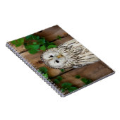 Carnet Chouette barrée (Côté Droit)