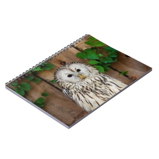 Carnet Chouette barrée (Côté gauche)